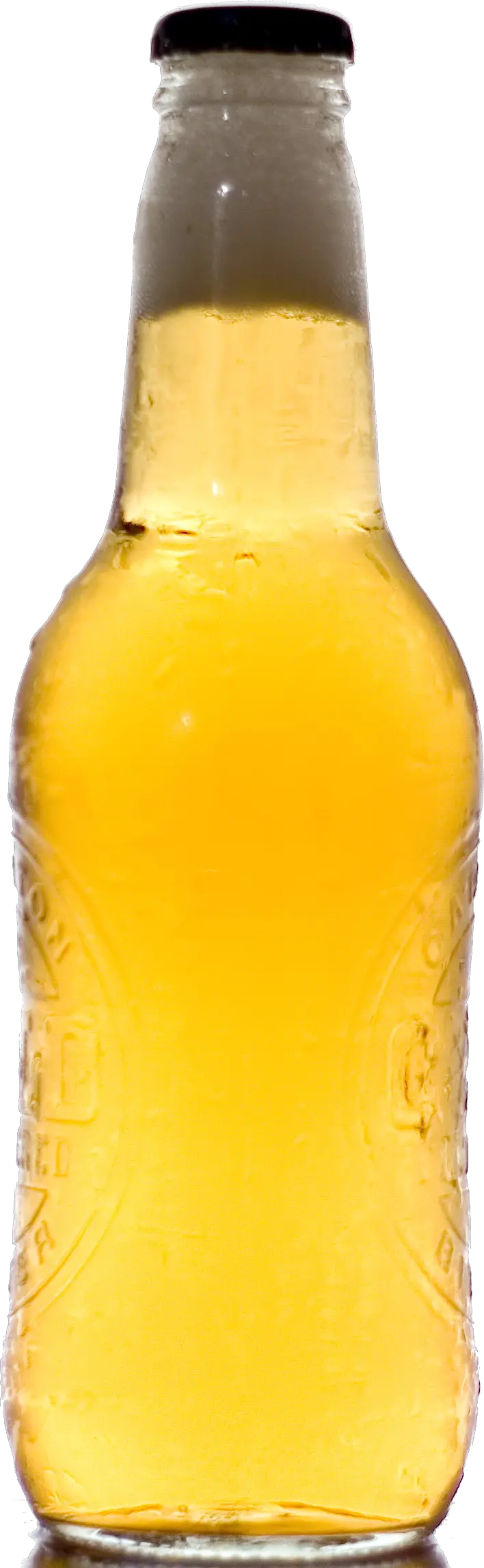 Beer bottle PNG image download picture