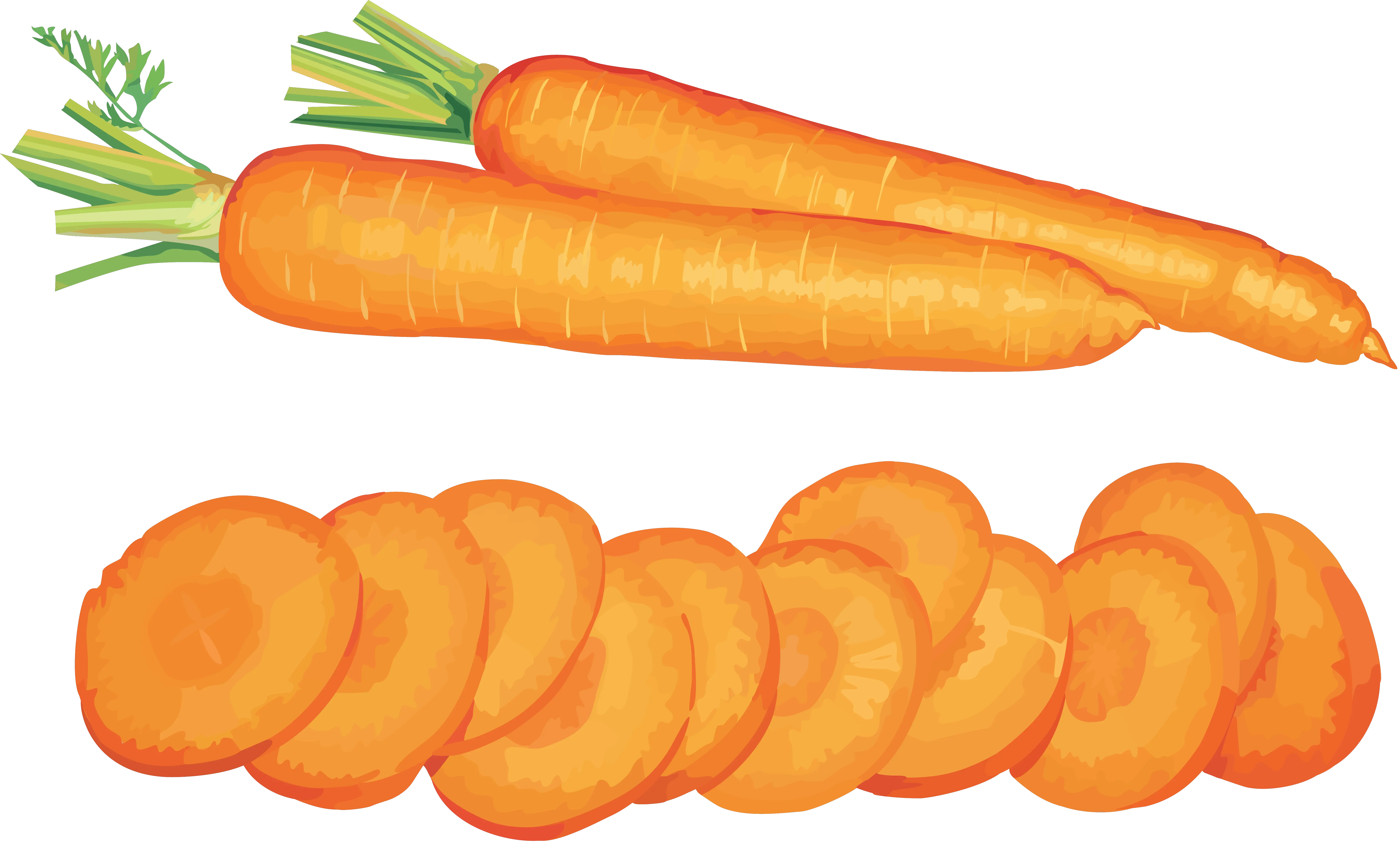 Carrot PNG