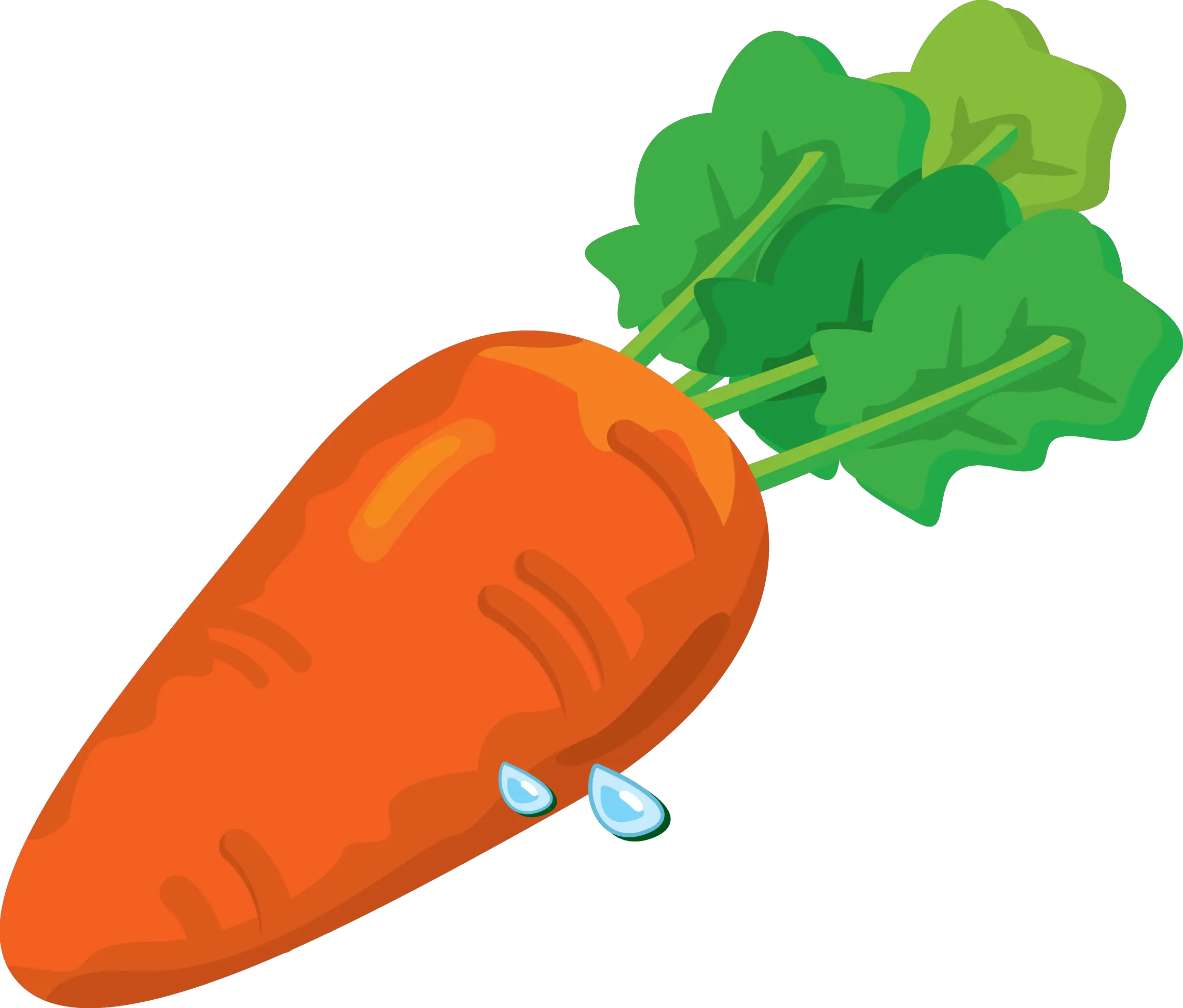 Carrot PNG