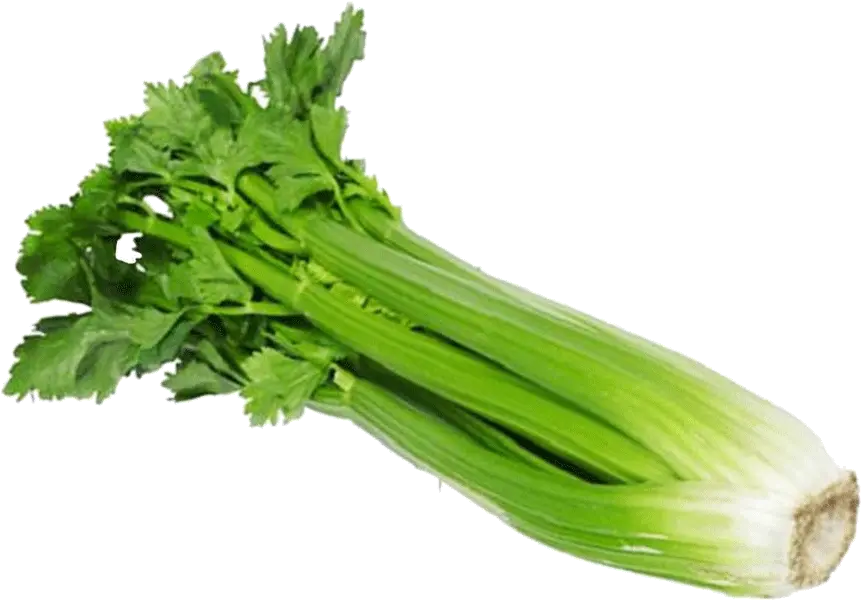 Celery PNG