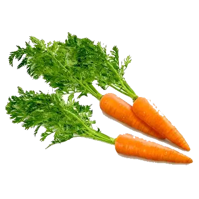 Carrot PNG image
