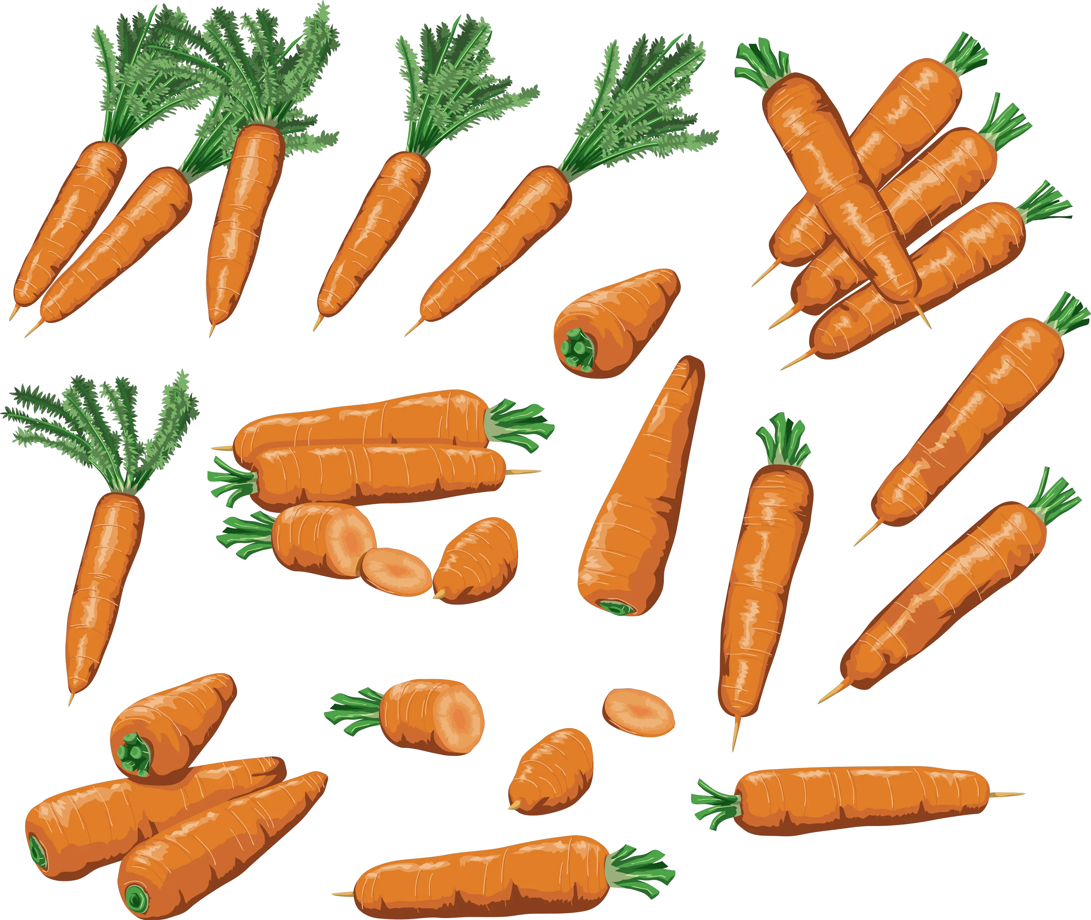 Carrots PNG image