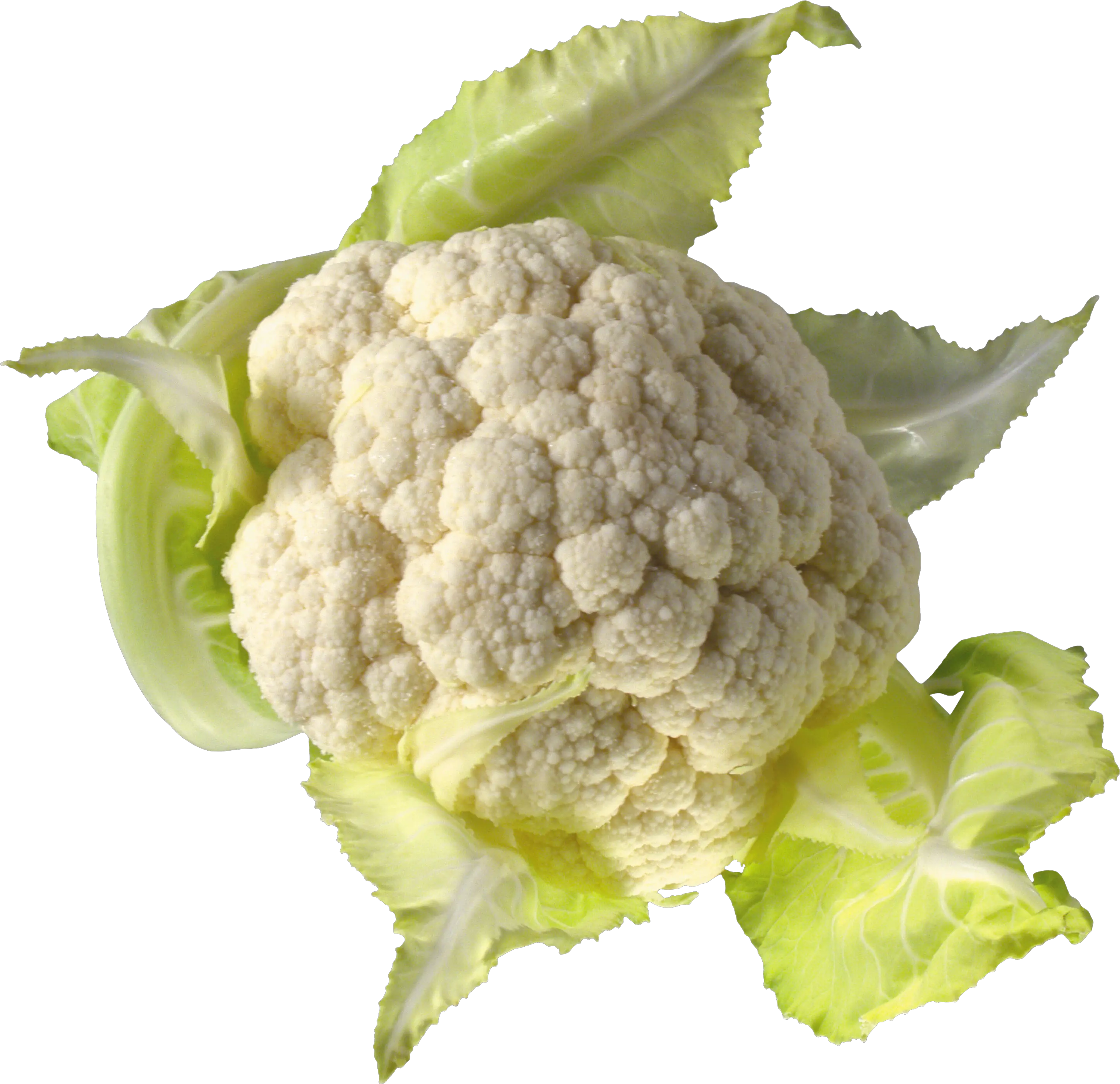 Cauliflower PNG