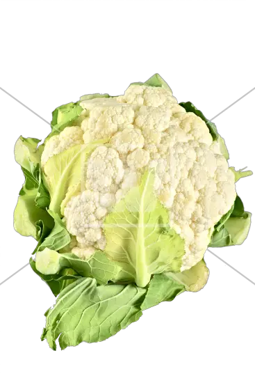 Cauliflower PNG