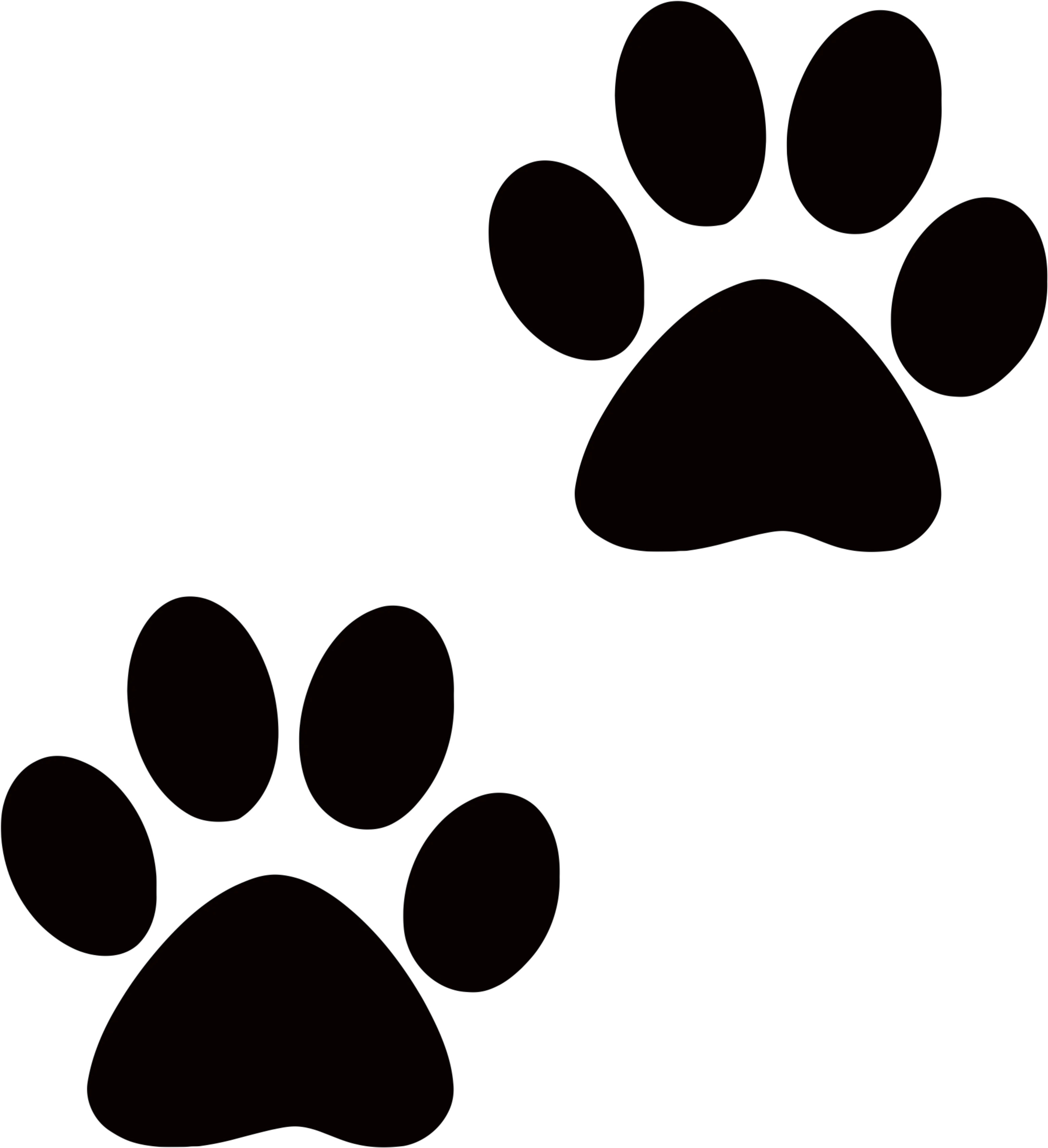 Paw PNG