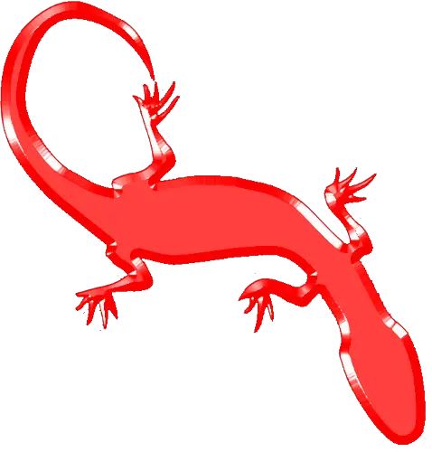 Gecko PNG