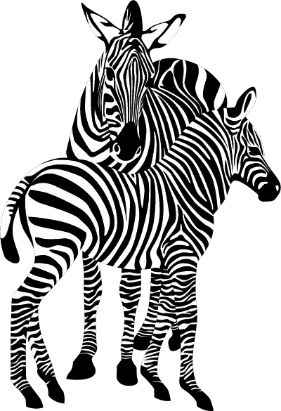 Zebra PNG image