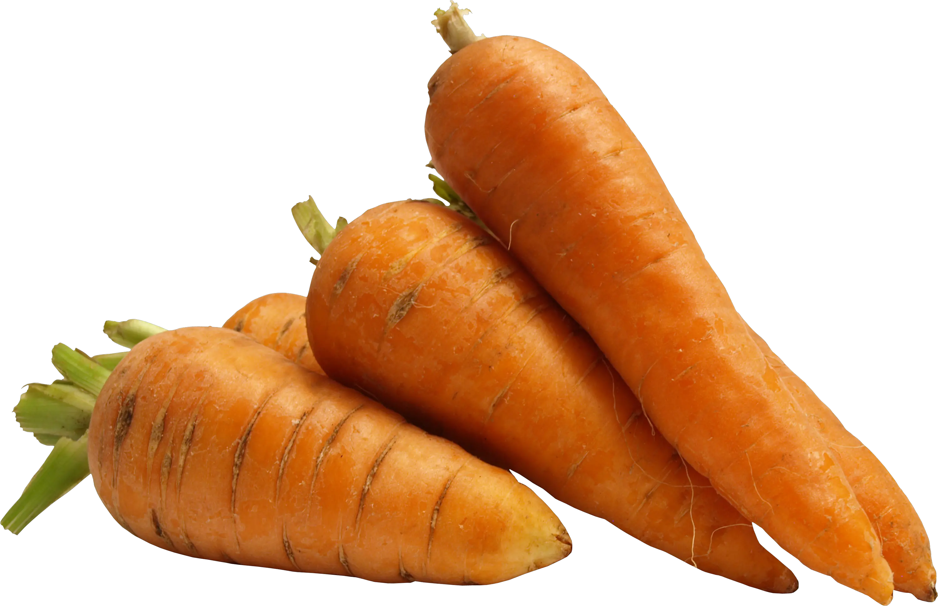 Carrot PNG image