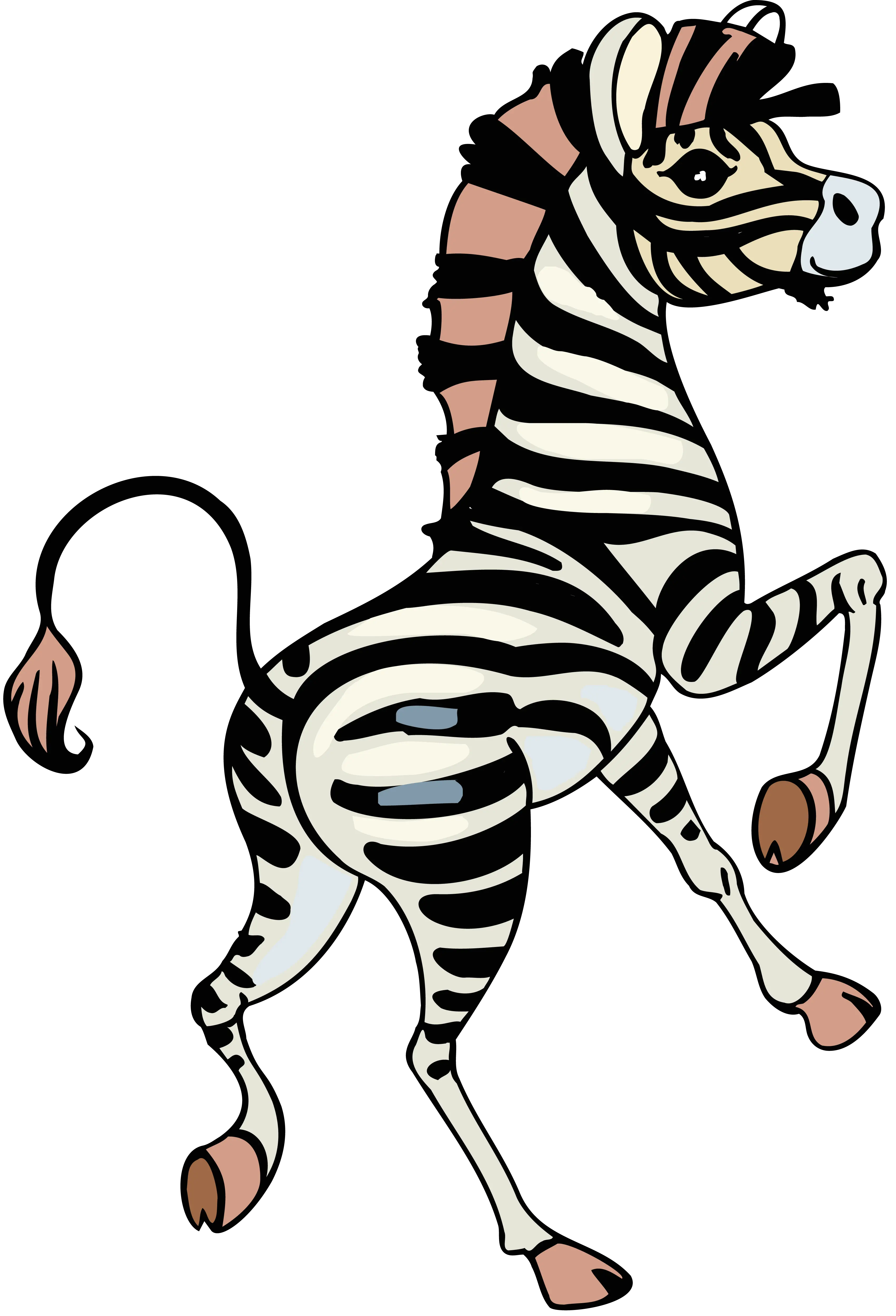 Zebra PNG image