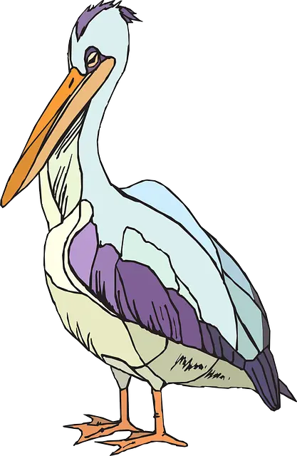 Pelican PNG