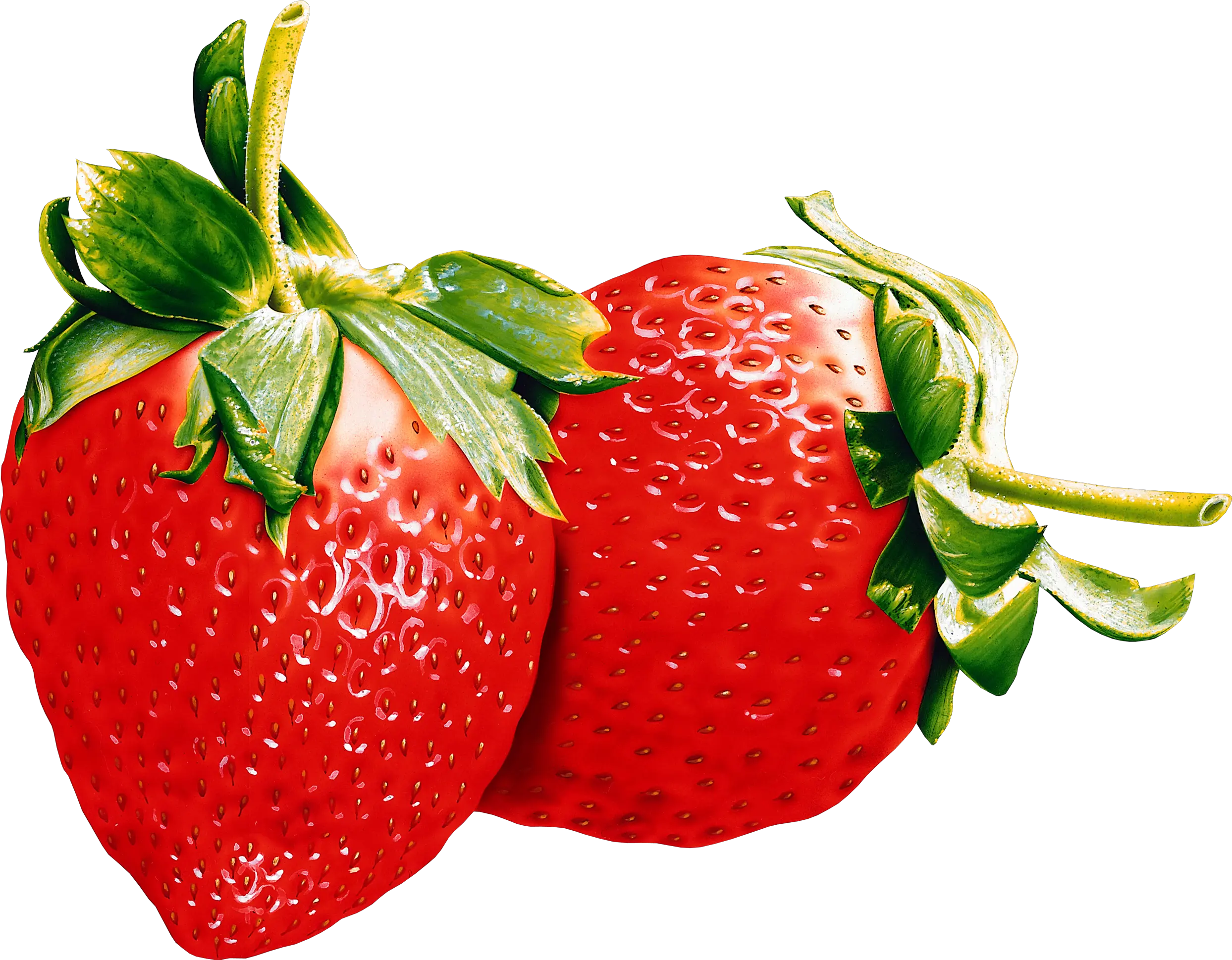 two strawberry PNG images