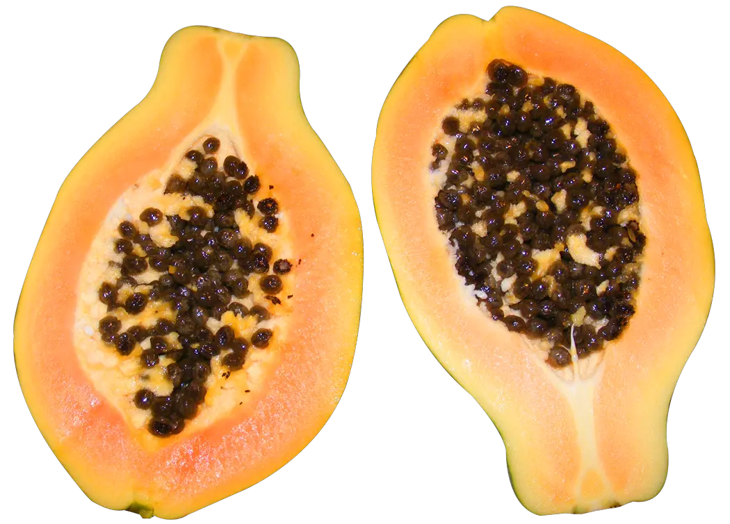 Papaya PNG