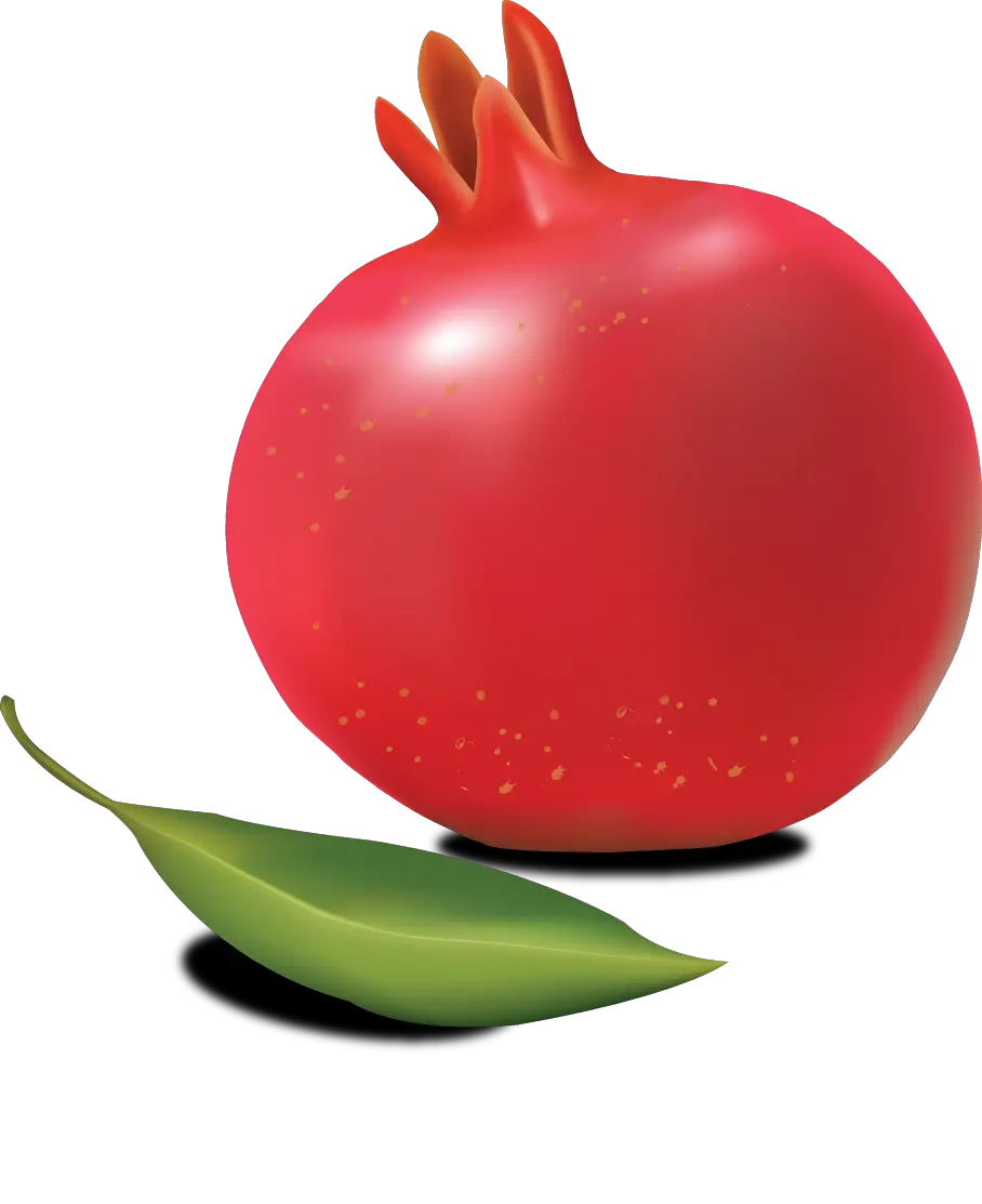 Pomegranate PNG image