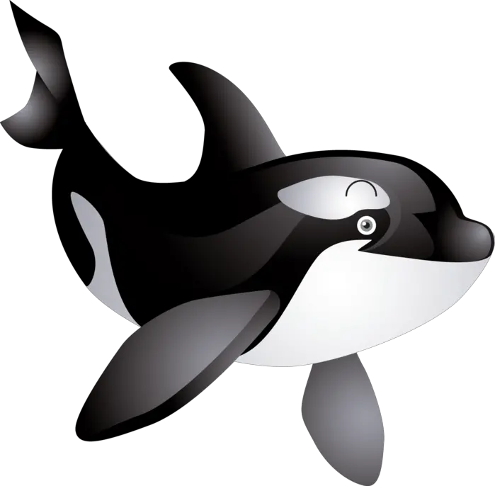 Whale PNG