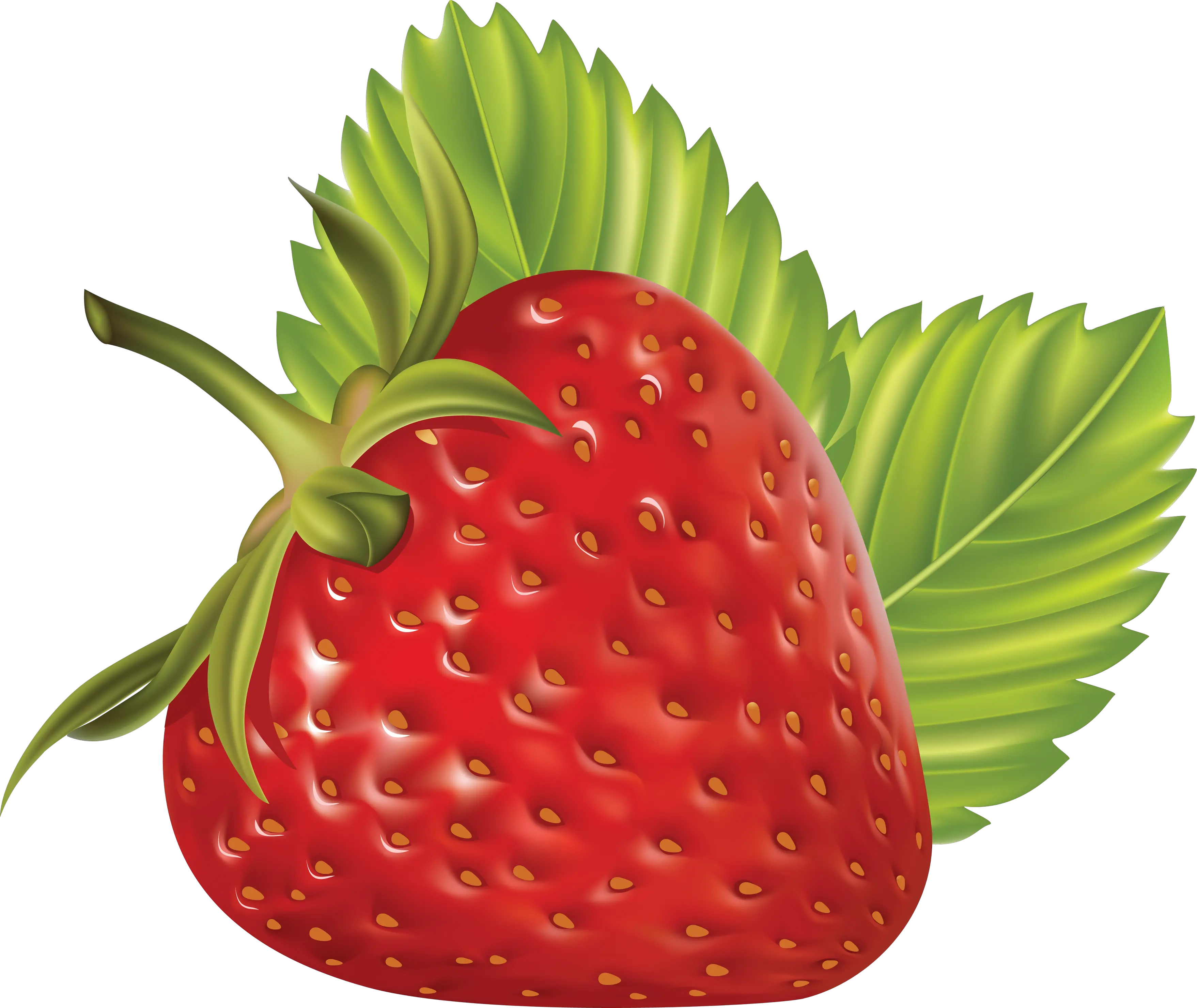 Strawberry with leaves PNG