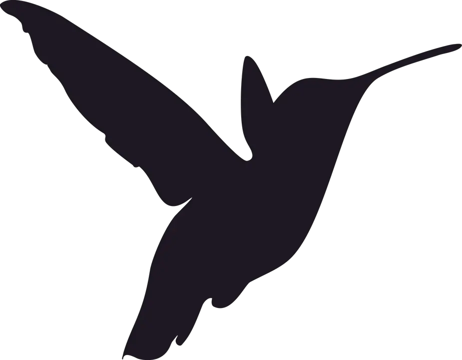Hummingbird PNG