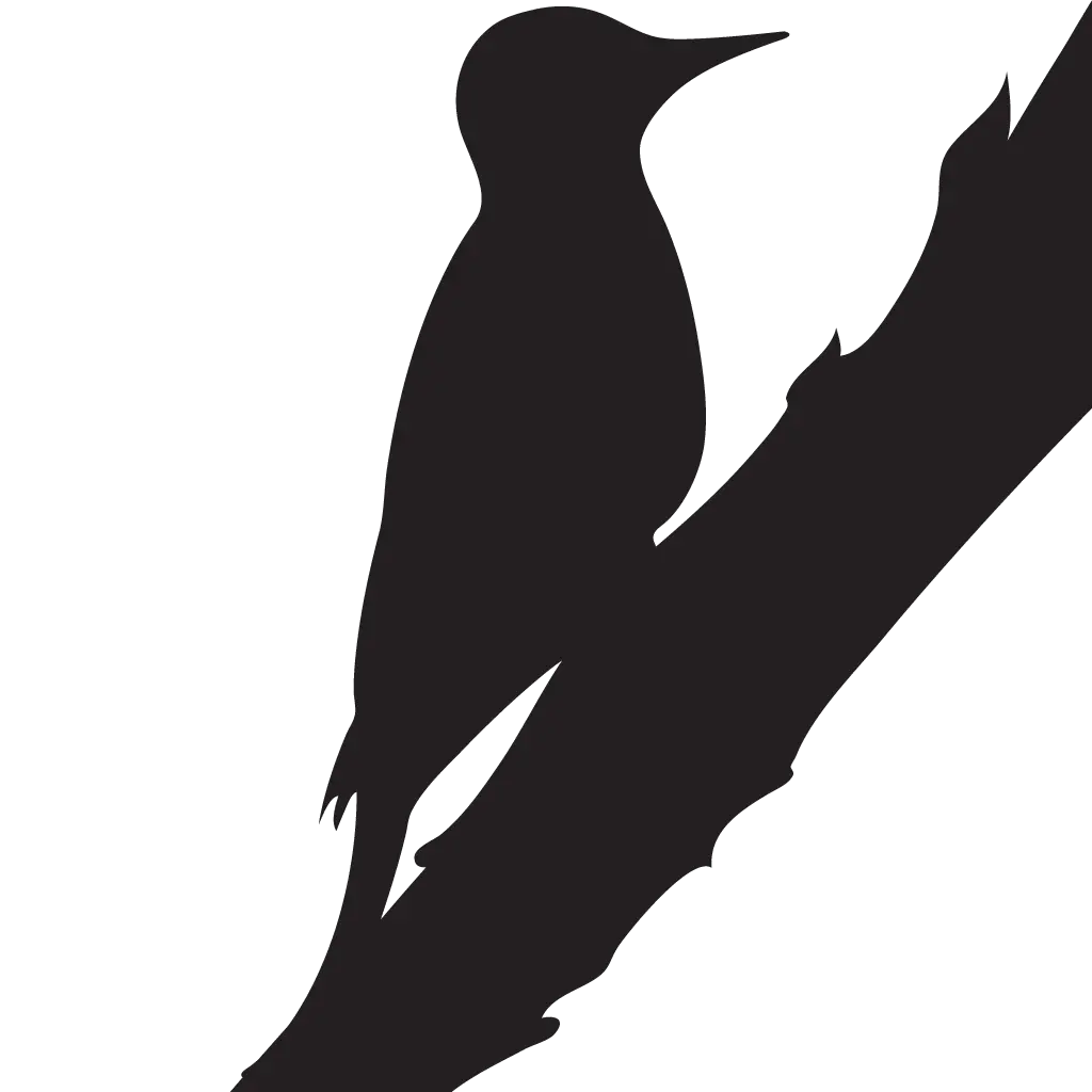 Woodpecker PNG