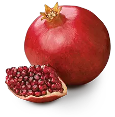 Pomegranate PNG image