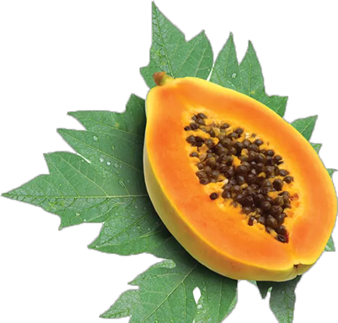 Papaya PNG