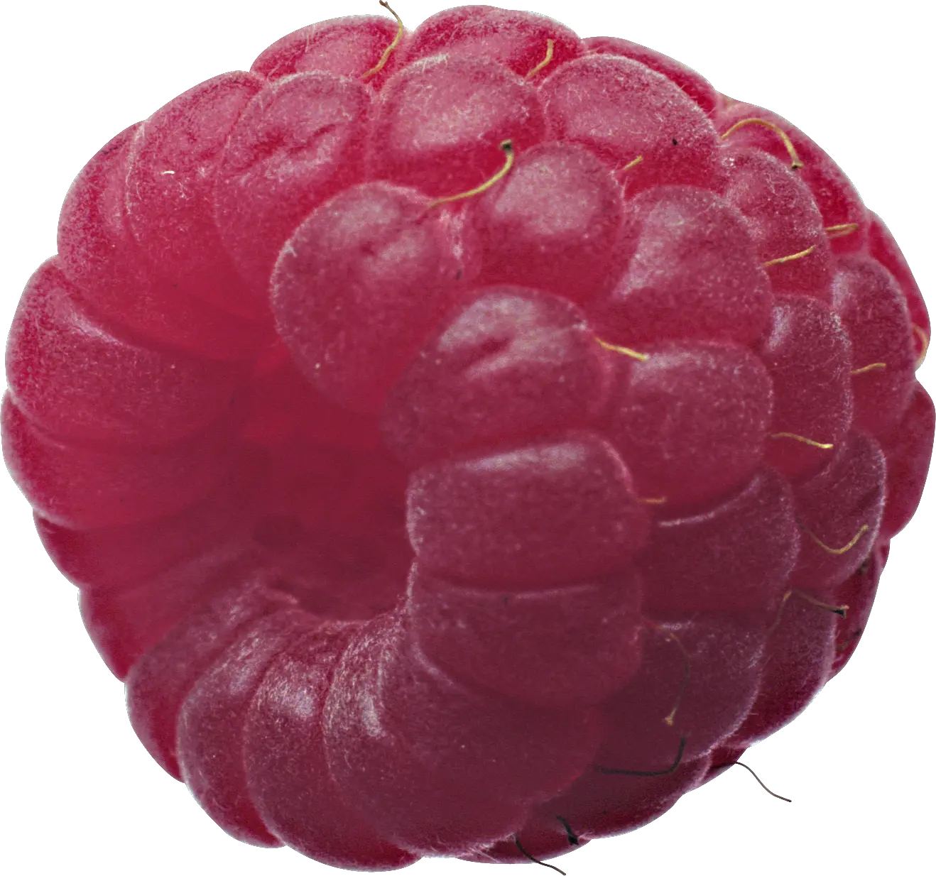 Rraspberry PNG image