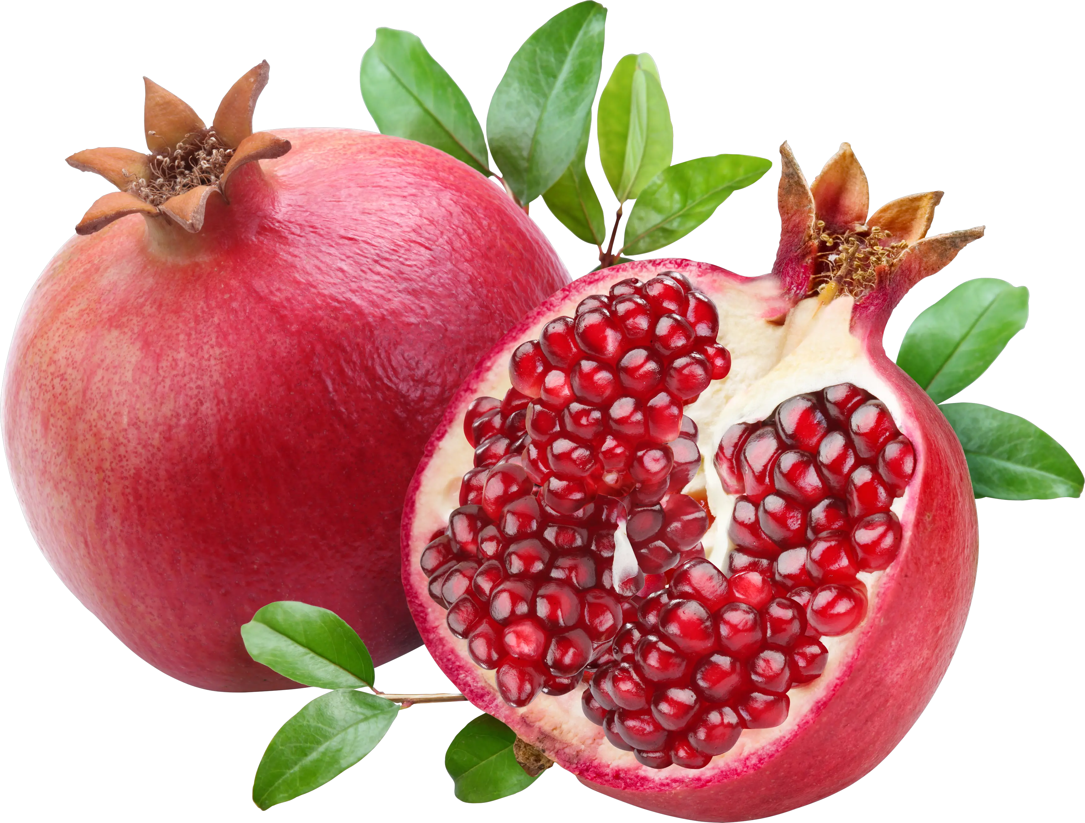 Pomegranate PNG image