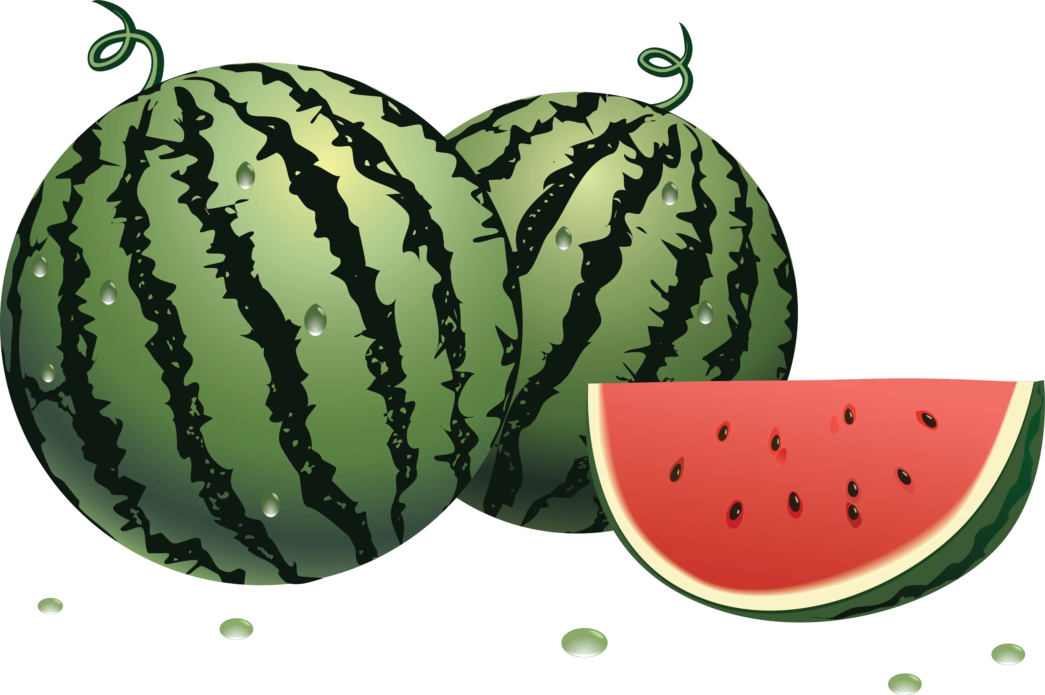 watermelon PNG image