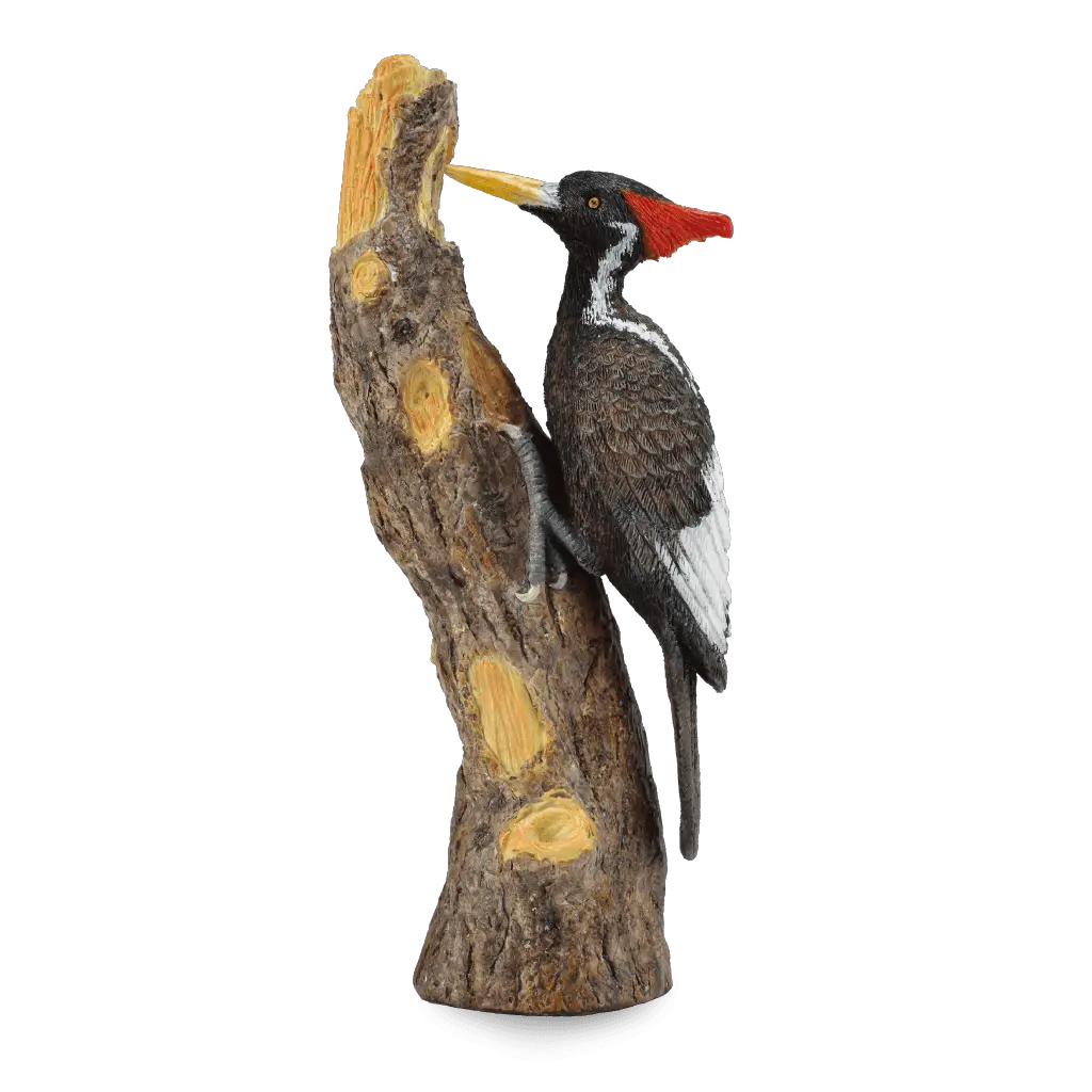 Woodpecker PNG