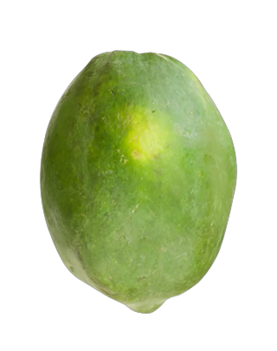 Papaya PNG