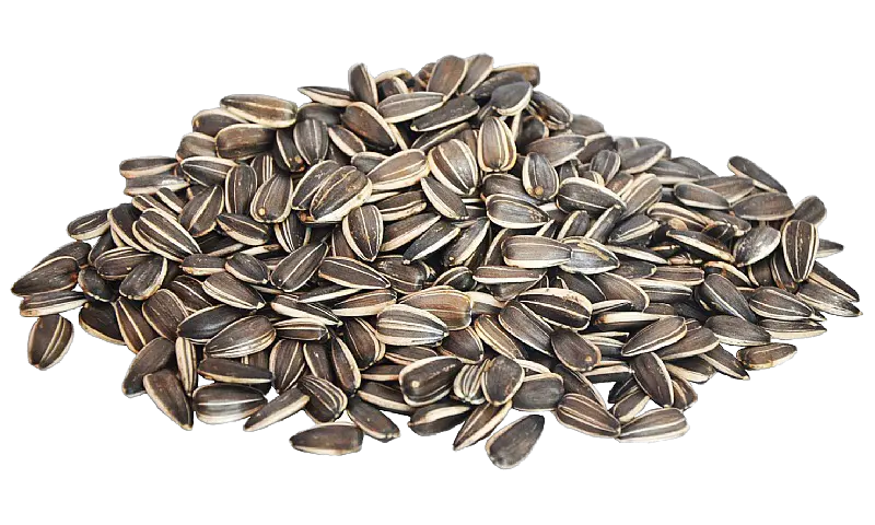 Sunflower seeds PNG