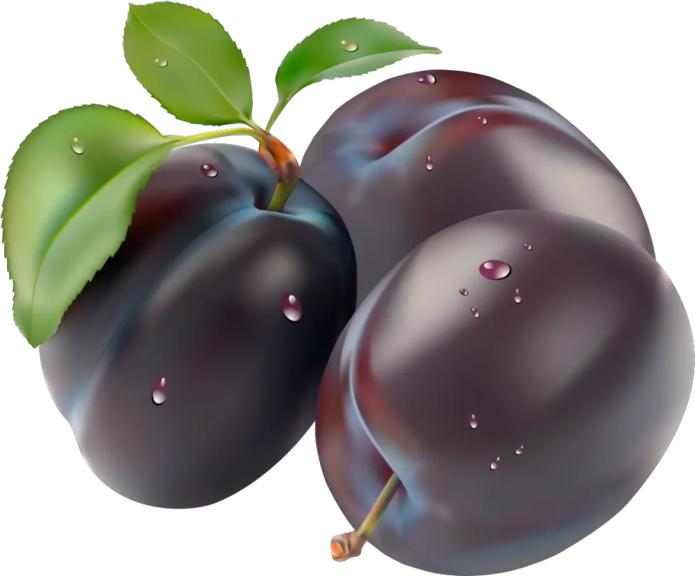 Plum PNG image