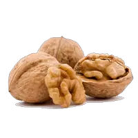 Walnut PNG