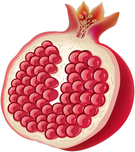 Pomegranate PNG