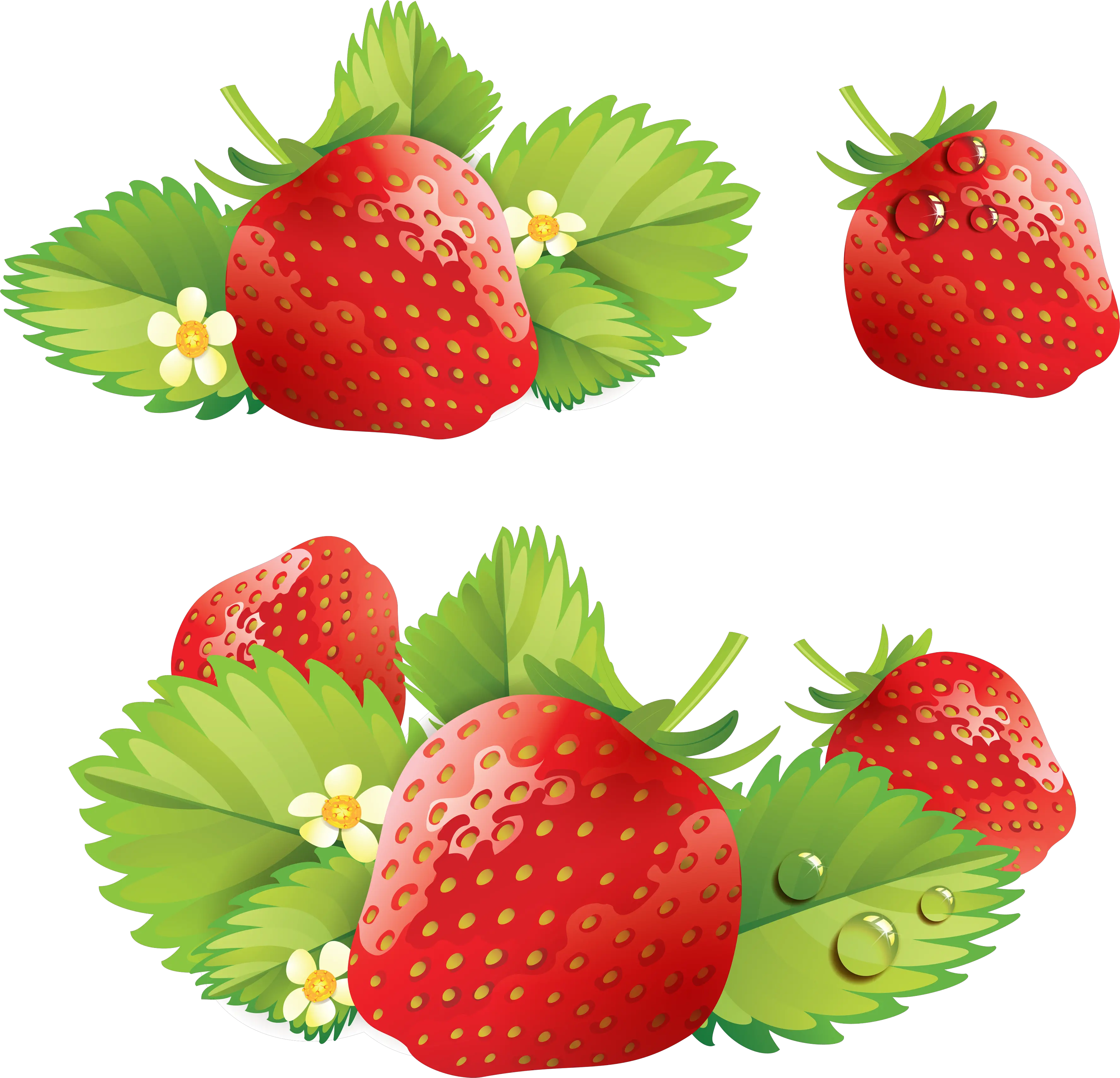 Strawberries with leaves PNG image