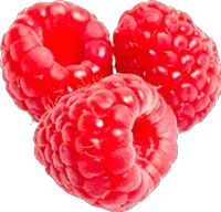 Rraspberry PNG image