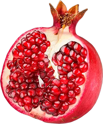 Pomegranate PNG image