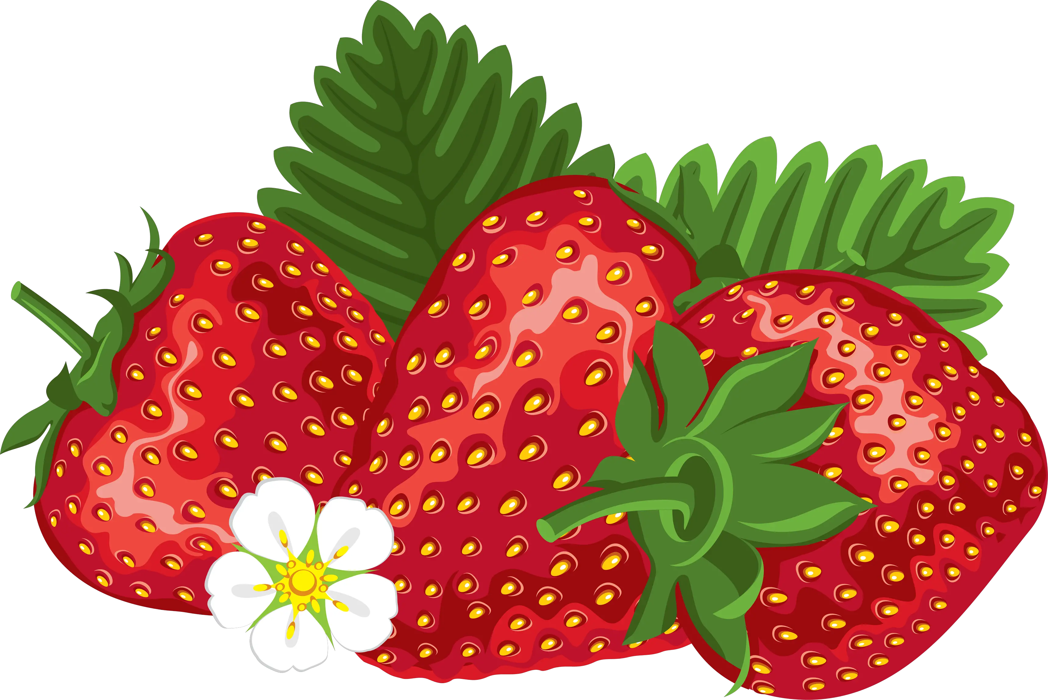 three Strawberries PNG image