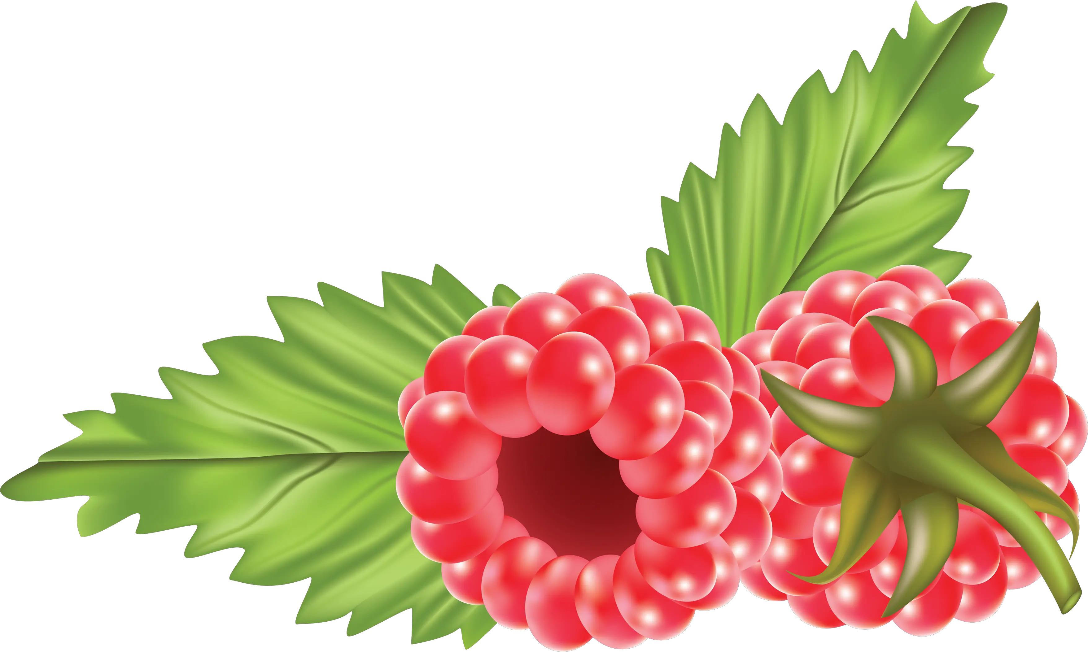 Rraspberry PNG image