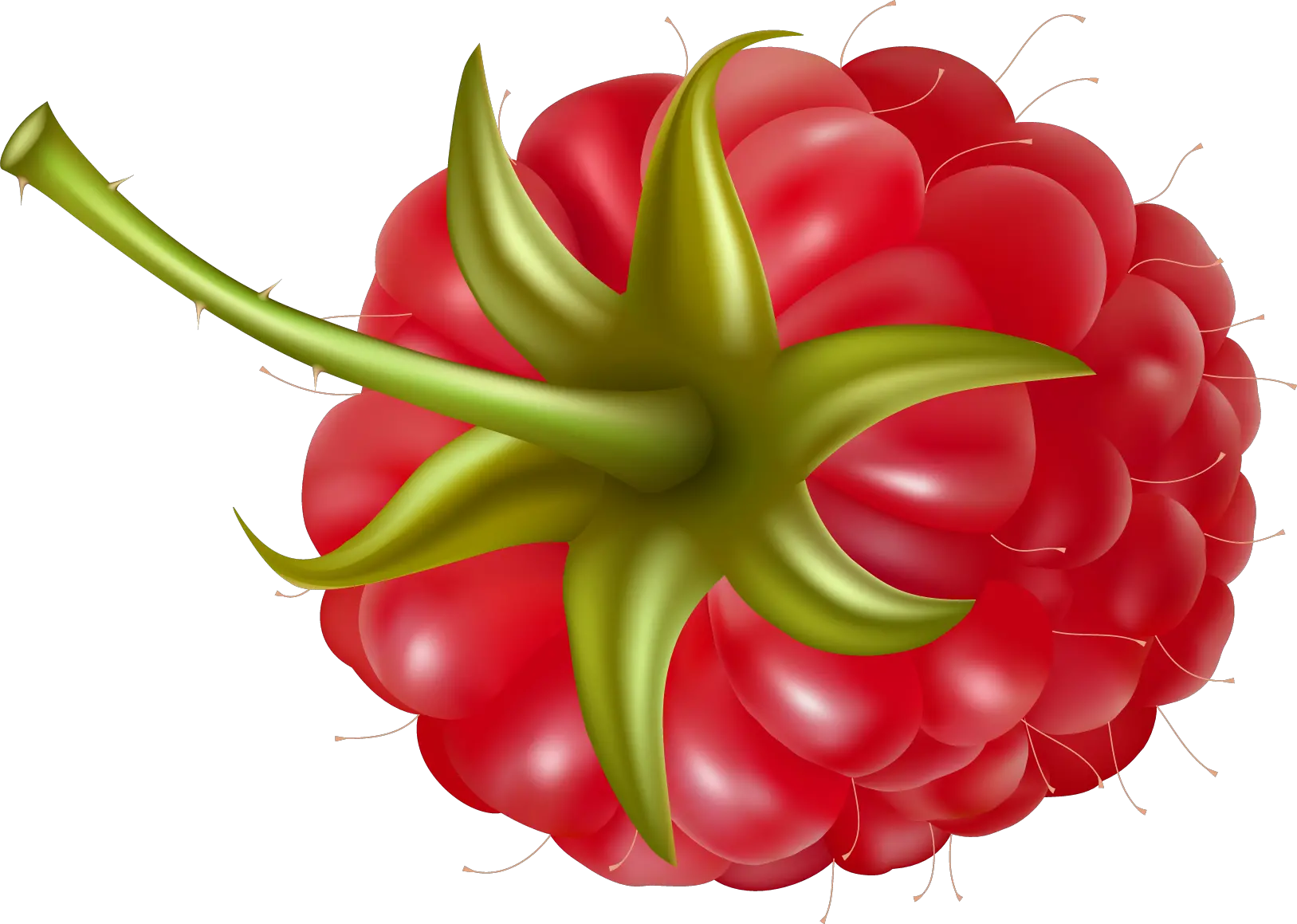 Rraspberry PNG image