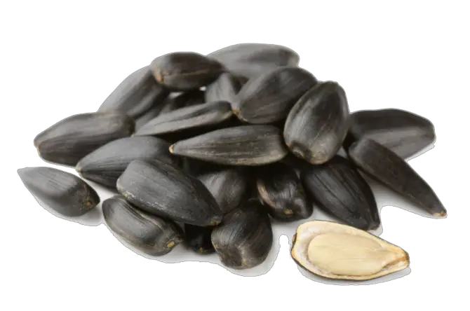 Sunflower seeds PNG