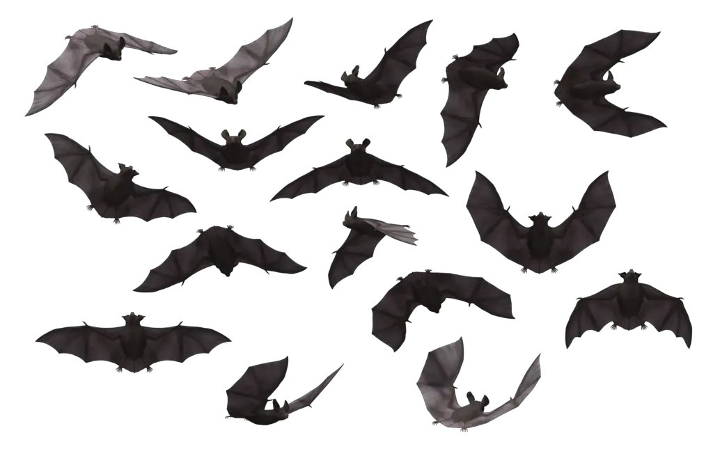 Bat PNG