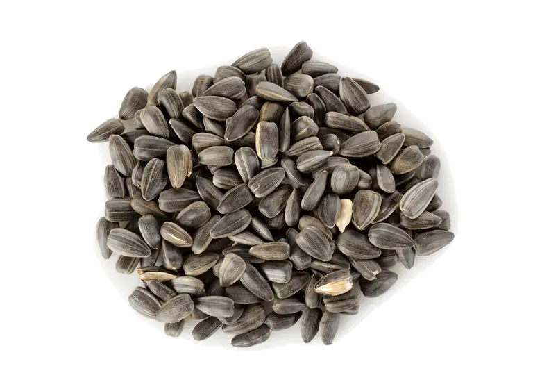 Sunflower seeds PNG