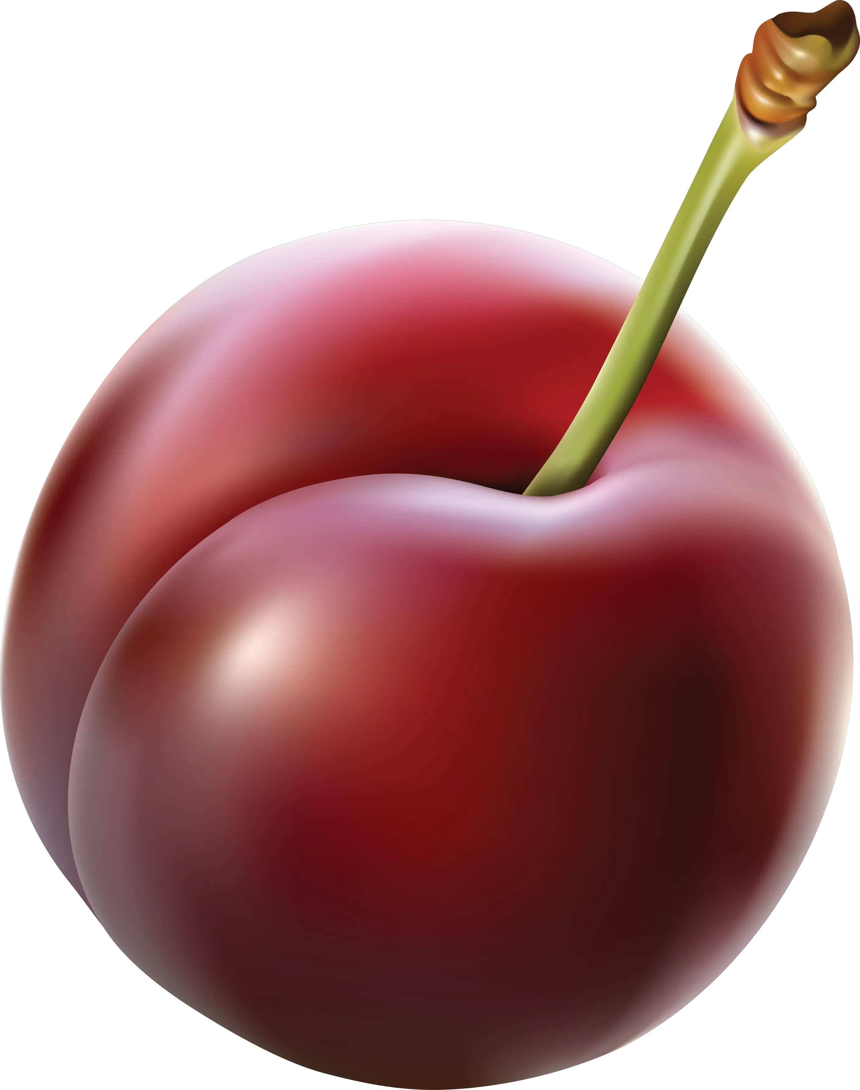 Plum PNG image