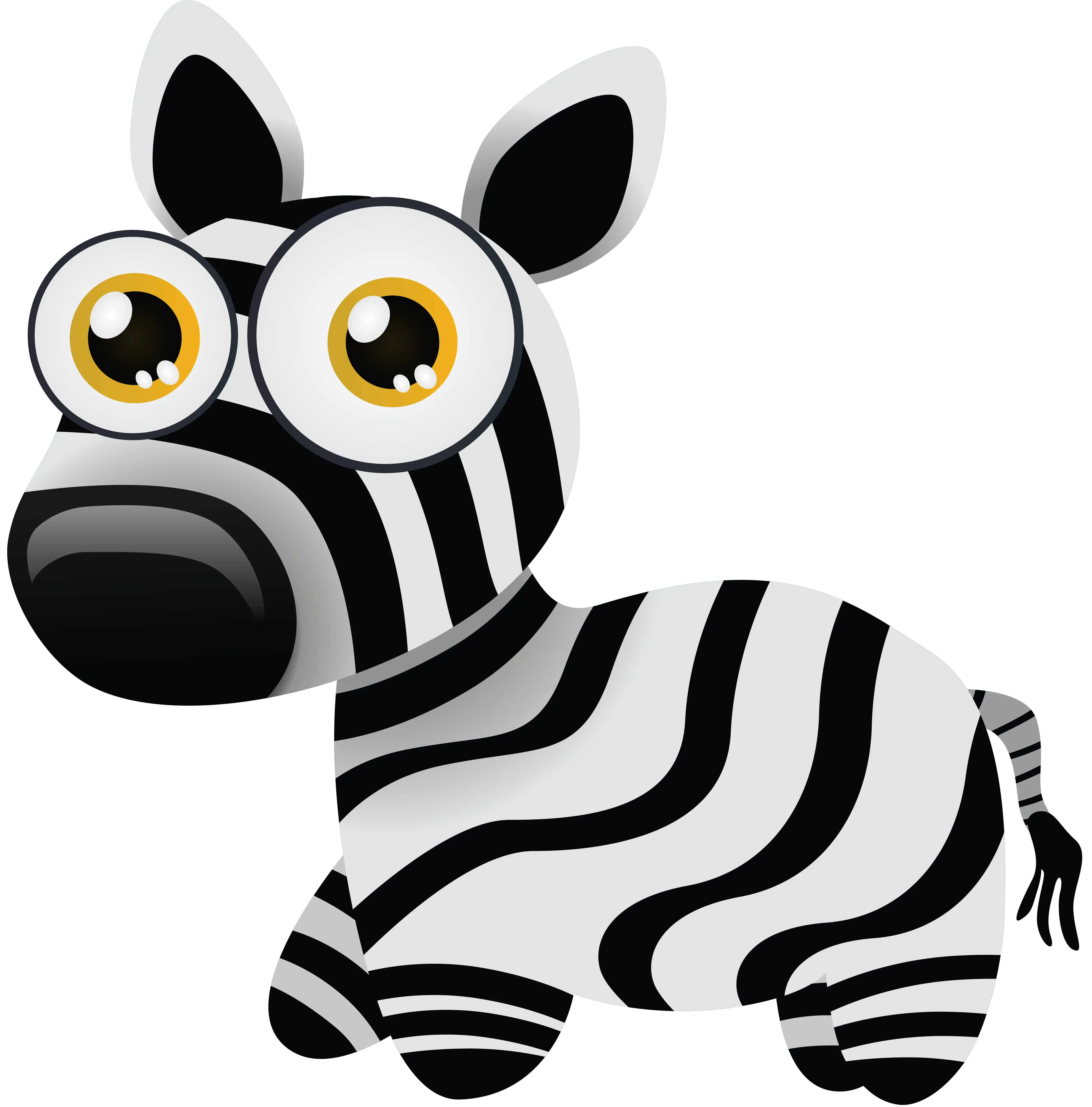 Zebra PNG image