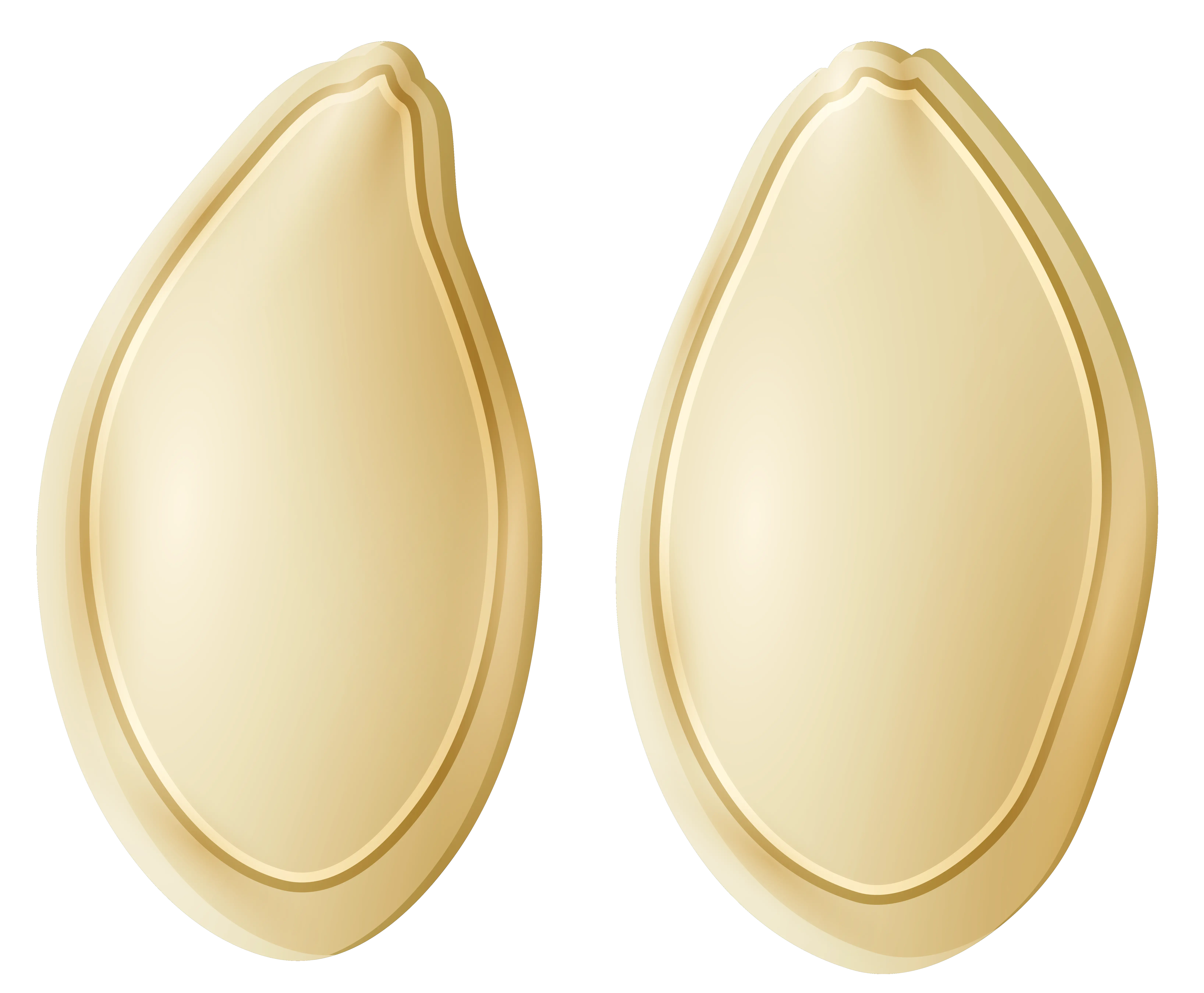 Pumpkin seeds PNG