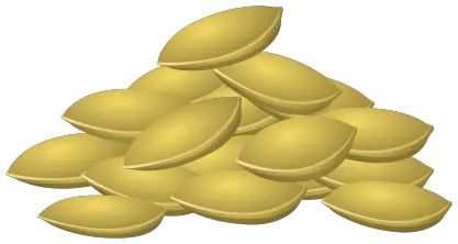 Pumpkin seeds PNG