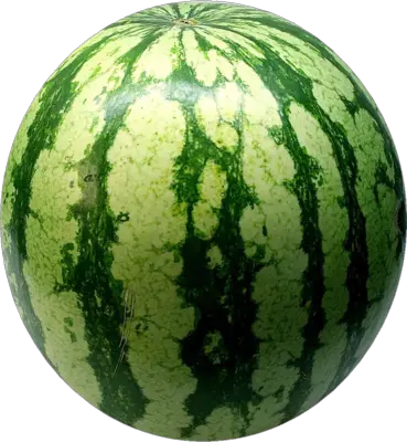 watermelon PNG image picture download