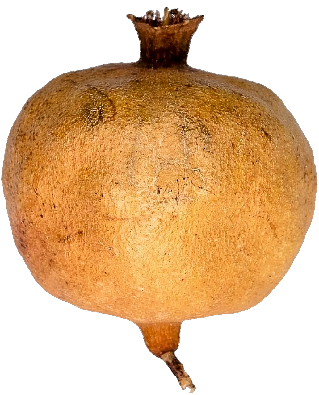 Pomegranate PNG