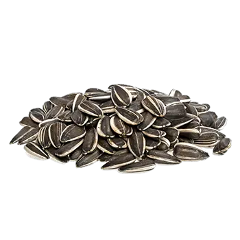 Sunflower seeds PNG