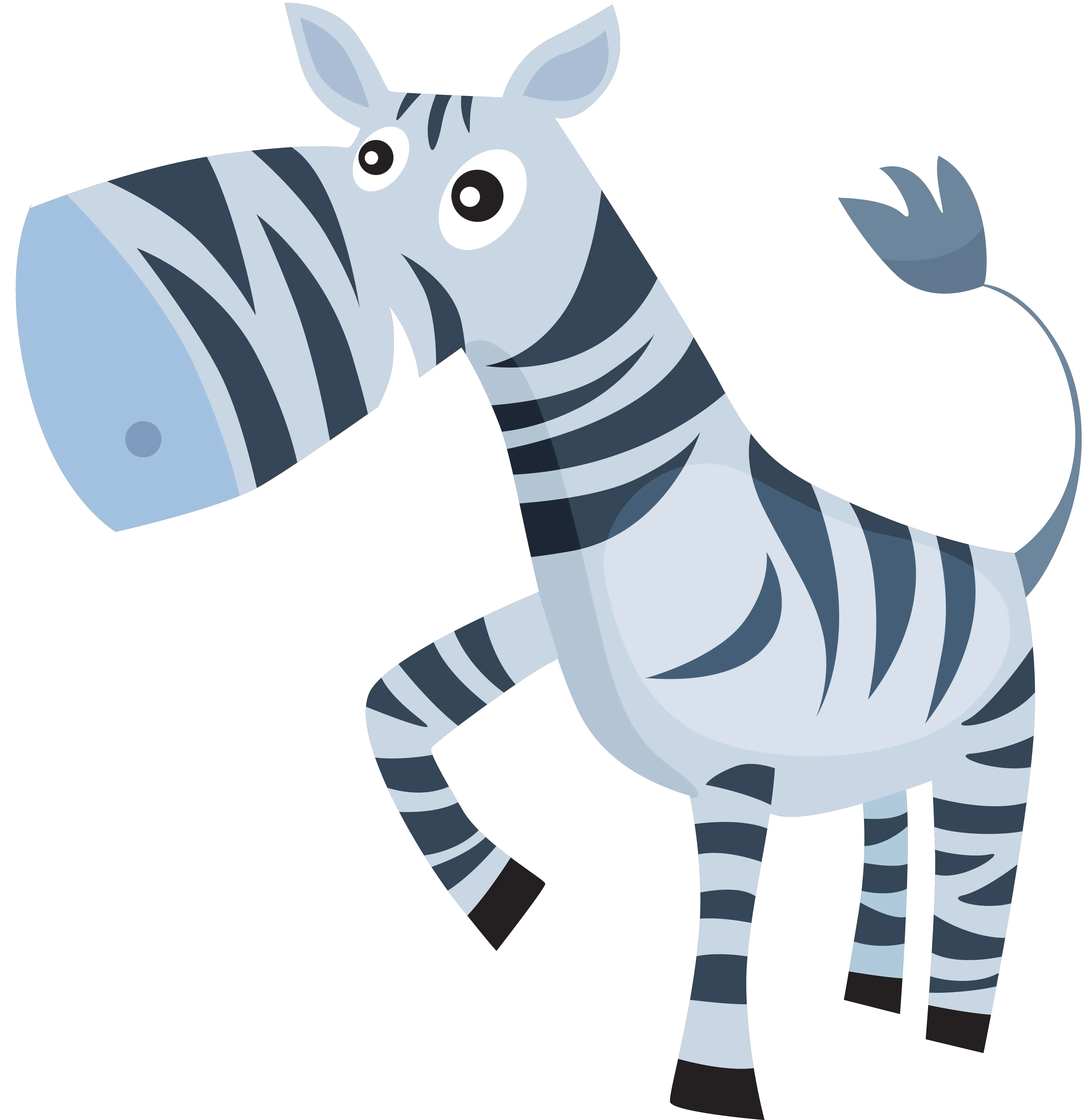 Zebra PNG image