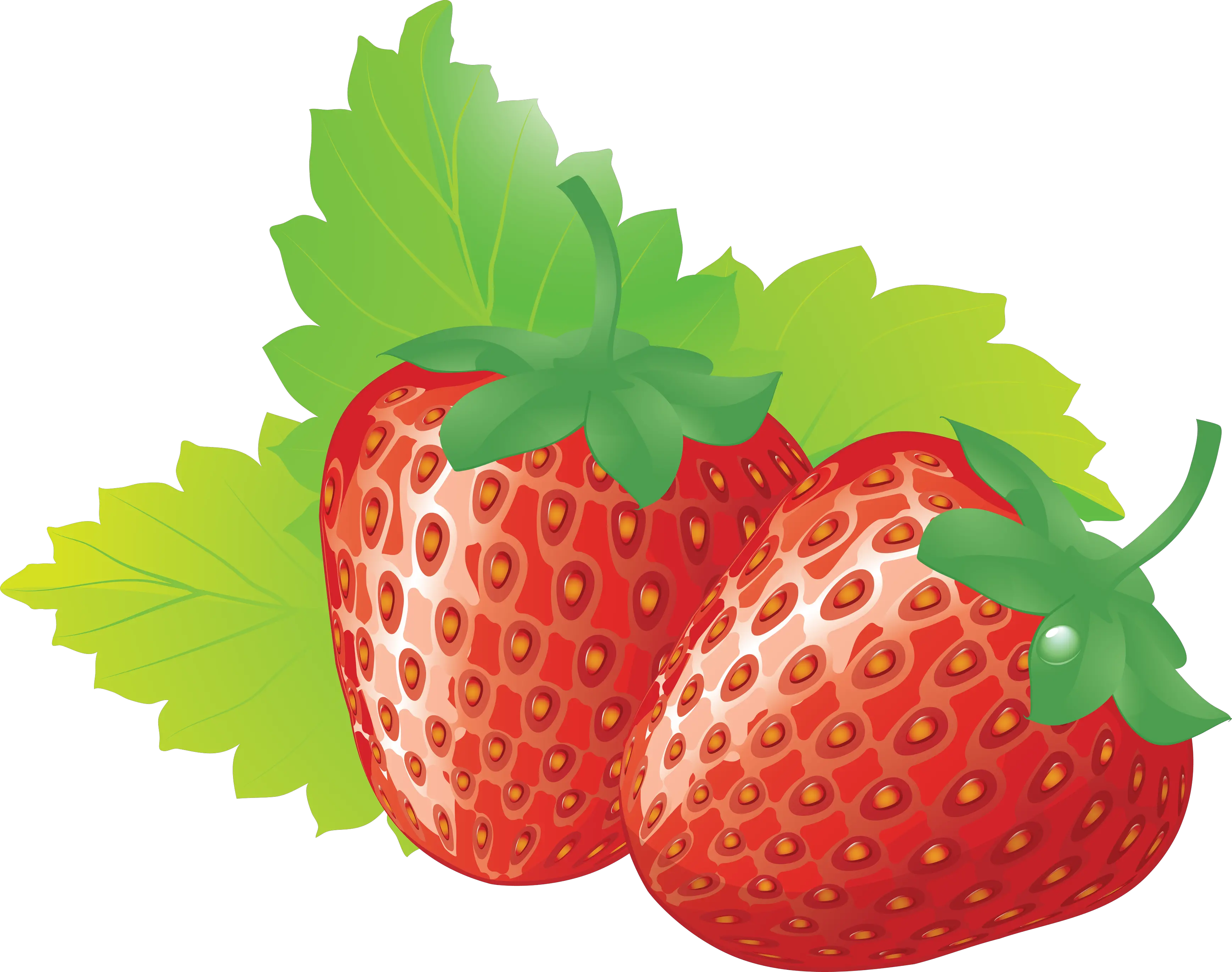 Strawberries PNG image